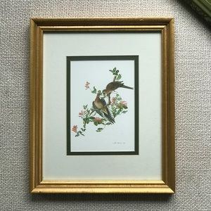 Vintage Gold Framed Dove Lithography Print
